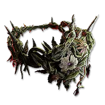 Crown of Thorns